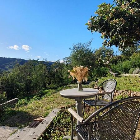 Calme Et Vue Panoramique Apartamento Pégomas Exterior foto